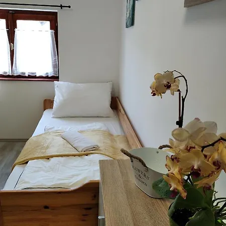 Matula Vendeghaz Tiszafured