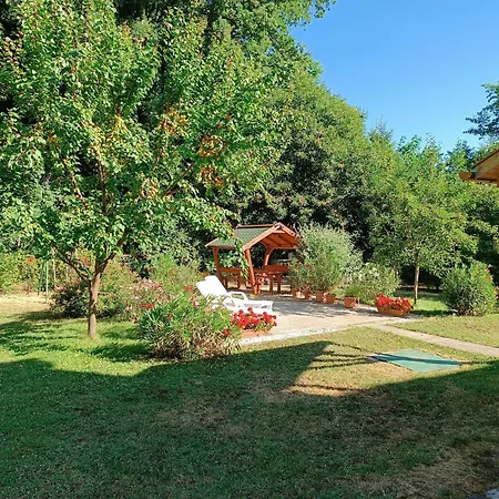 Matula Vendeghaz * Tiszafüred